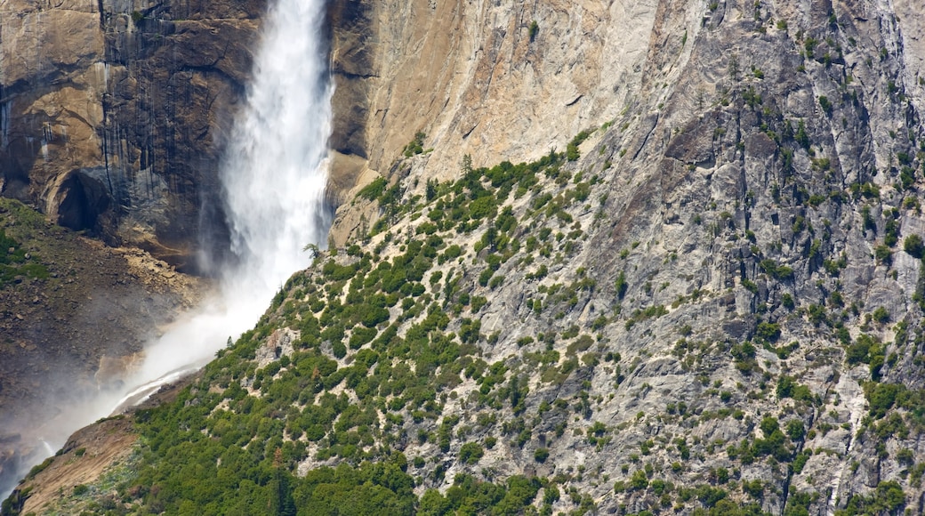 Glacier Point que inclui uma cachoeira e cenas tranquilas