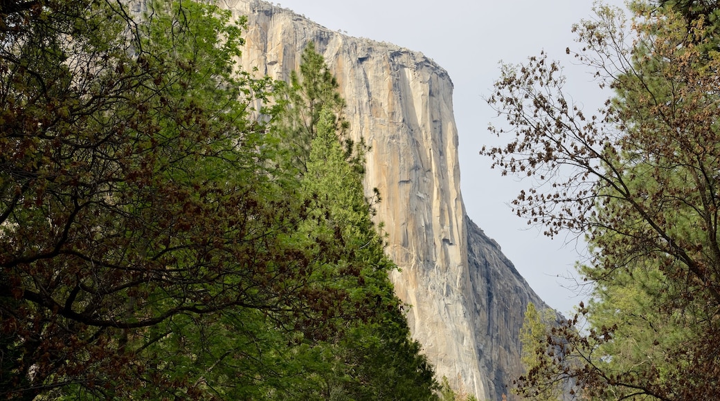 El Capitan