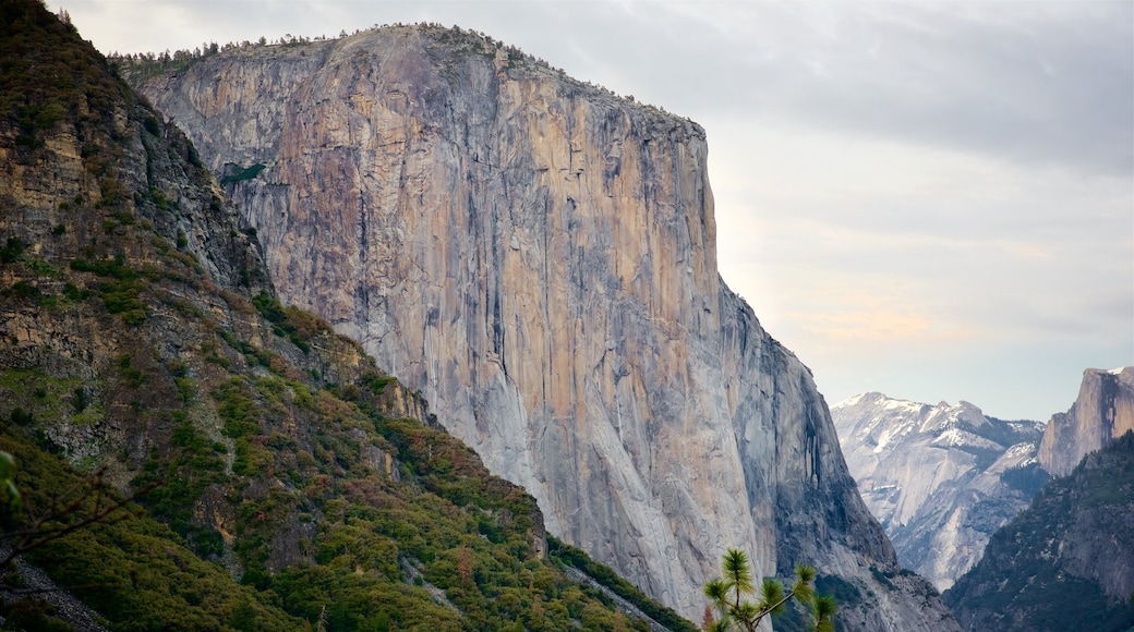 El Capitan mit einem Berge und Schlucht oder Canyon