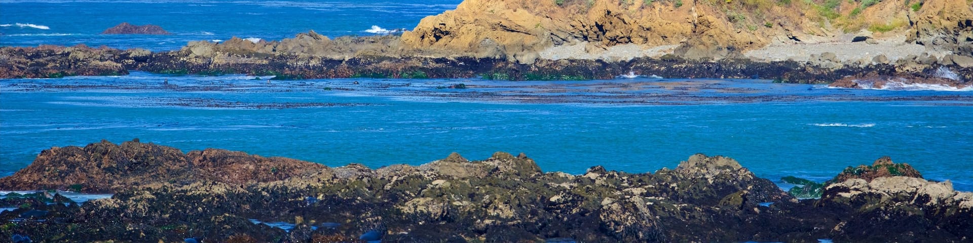 Piedras Blancas Lighthouse which includes rocky coastline