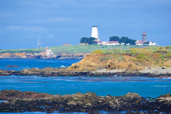 Piedras Blancas Lighthouse showing rocky coastline