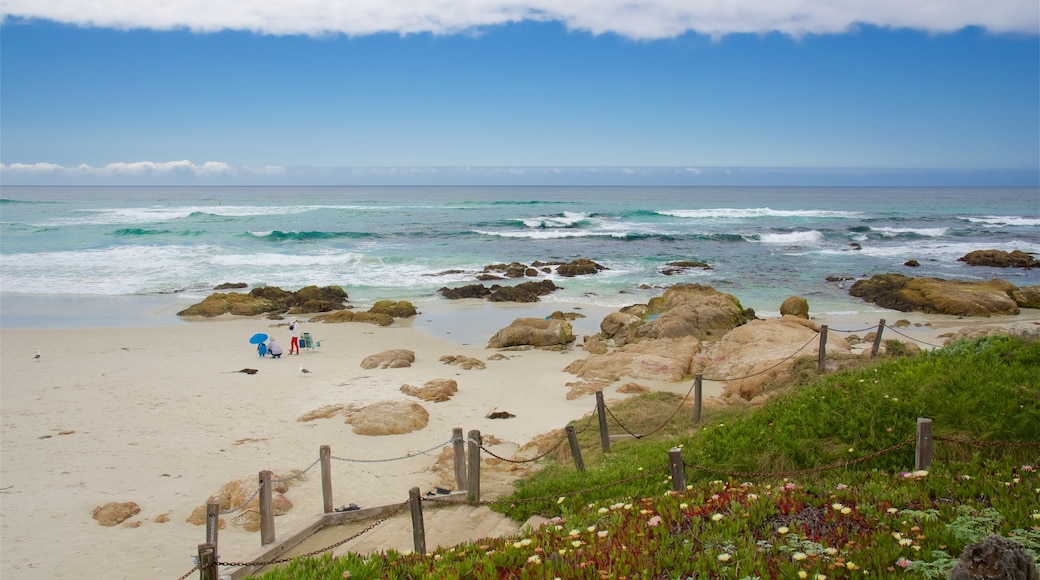 Asilomar State Beach showing rugged coastline, landscape views and general coastal views