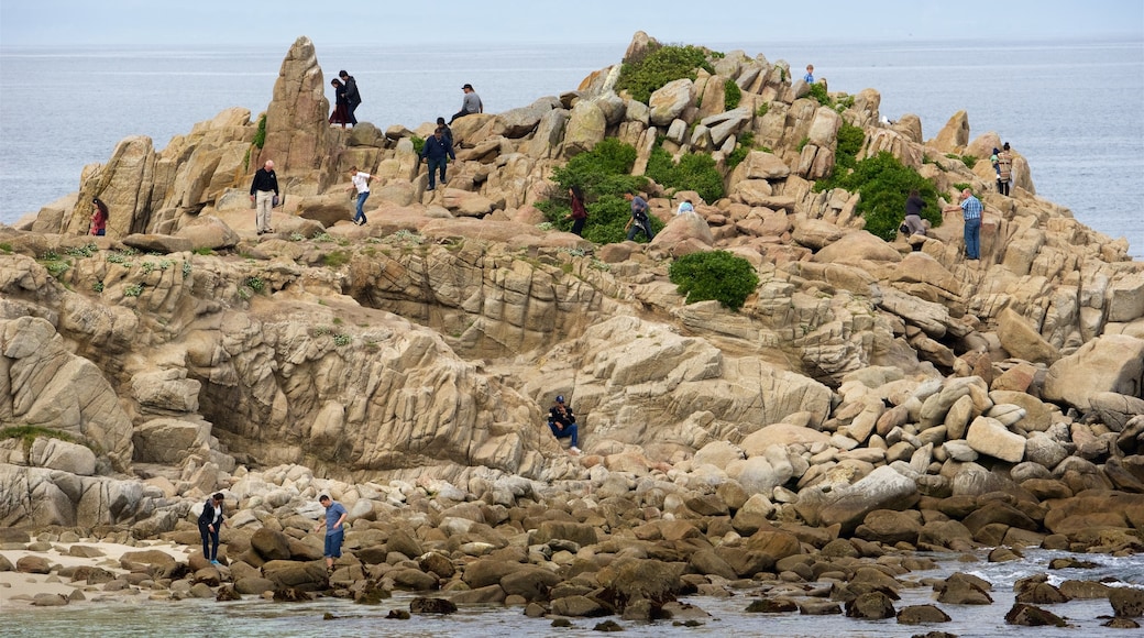 Monterey showing rugged coastline as well as a large group of people