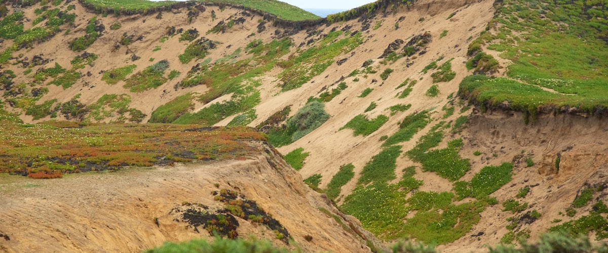 Fort Ord Dunes State Park featuring tranquil scenes