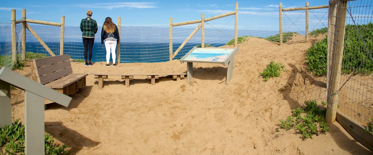 Parque estatal de Fort Ord Dunes mostrando una playa de arena y vistas