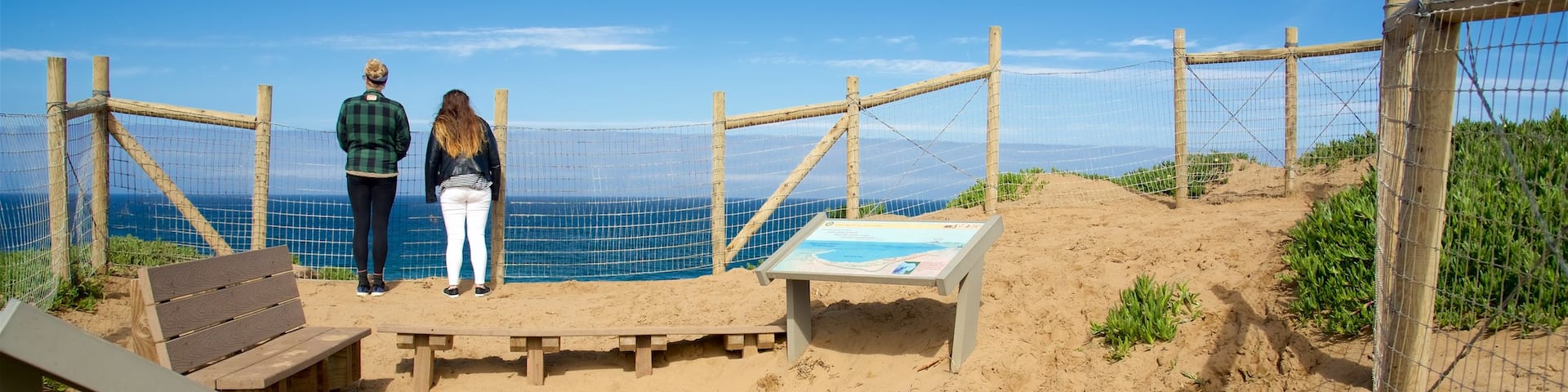 Fort Ord Dunes State Park das einen Ansichten und Strand