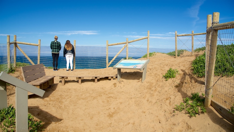 Fort Ord Dunes statspark som inkluderar utsikter och en strand
