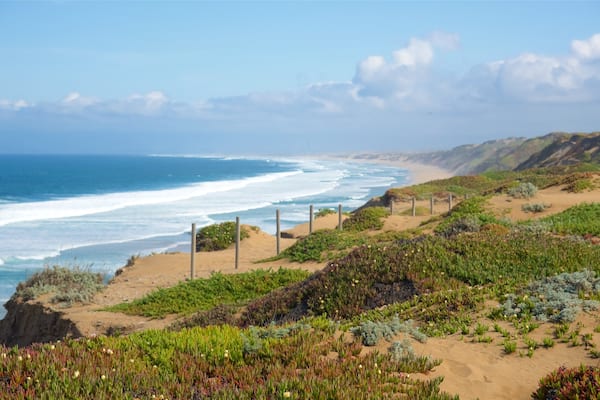 Parc national des dunes de Fort Ord qui includes plage, panoramas et baie ou port