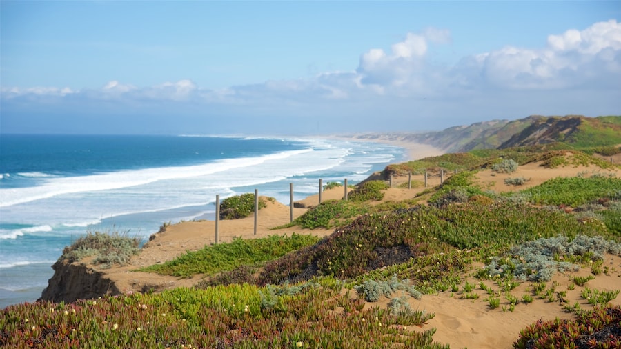 Fort Ord Dunes State Park inclusief algemene kustgezichten, landschappen en een baai of haven