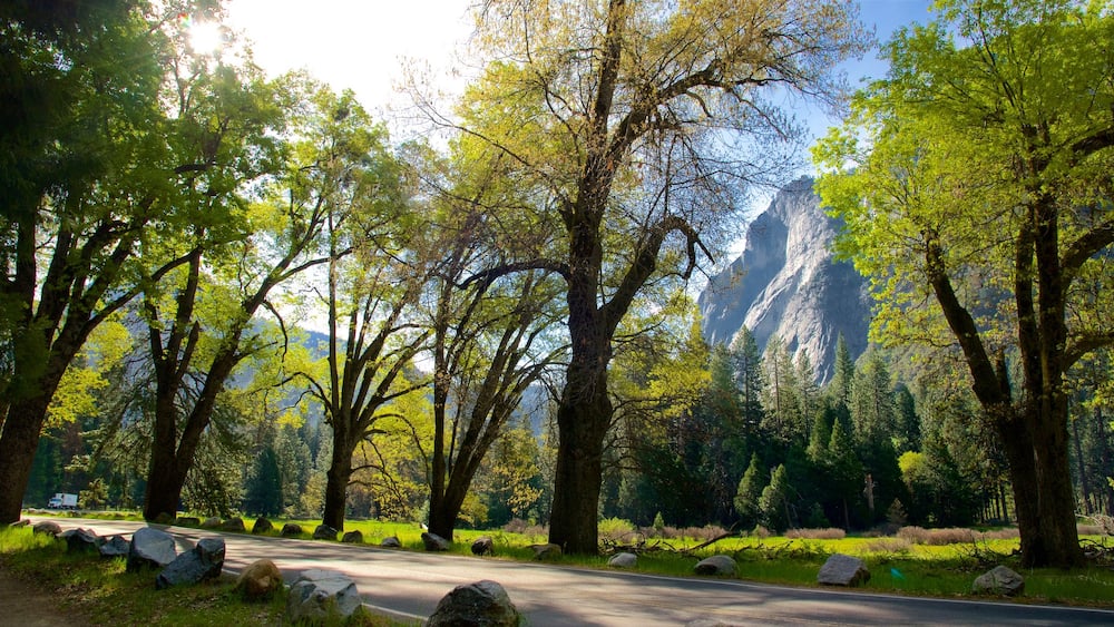 中央カリフォルニア内陸 表示 公園