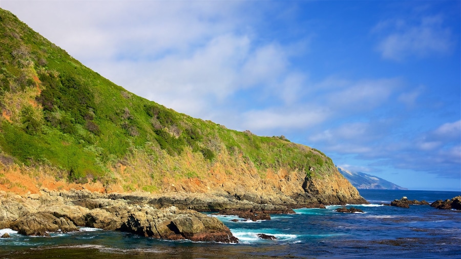 Partington Cove bevat bergen en rotsachtige kustlijn