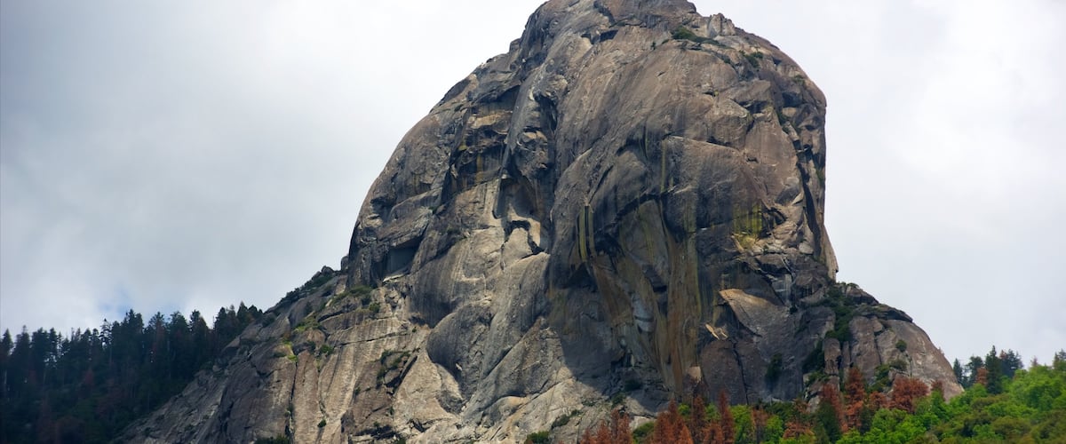 Sequoia National Park which includes tranquil scenes and mountains
