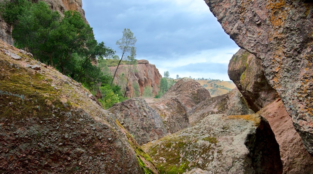 Pinnacles National Park que incluye situaciones tranquilas