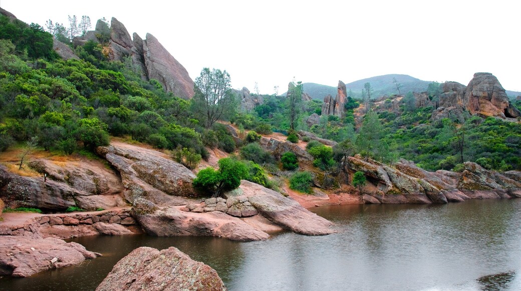 Pinnacles National Park que incluye un lago o espejo de agua y selva