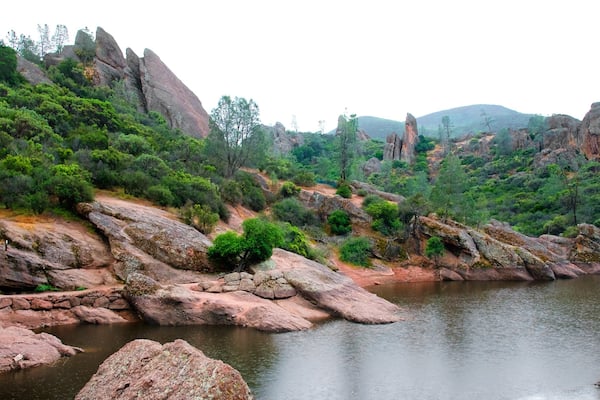Pinnacles National Park welches beinhaltet See oder Wasserstelle und Regenwald