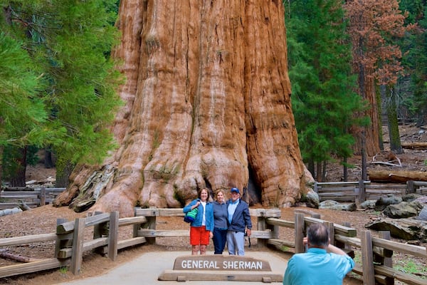 Sequoia National Park featuring forest scenes as well as a small group of people