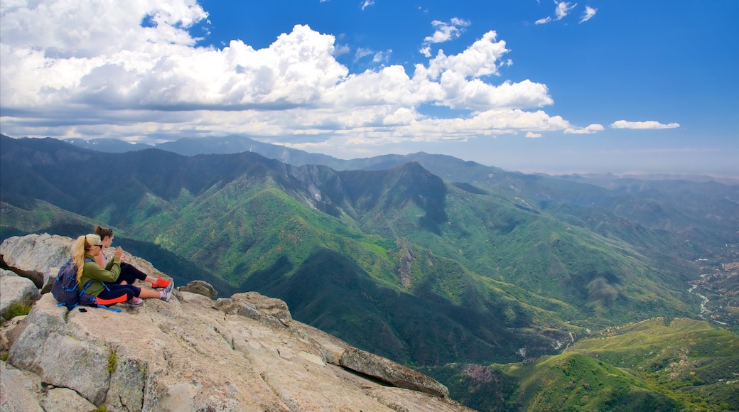 Sequoia National Park showing mountains, landscape views and views