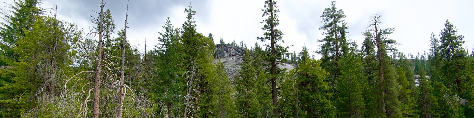 Central Interior California which includes a river or creek and forest scenes as well as a couple