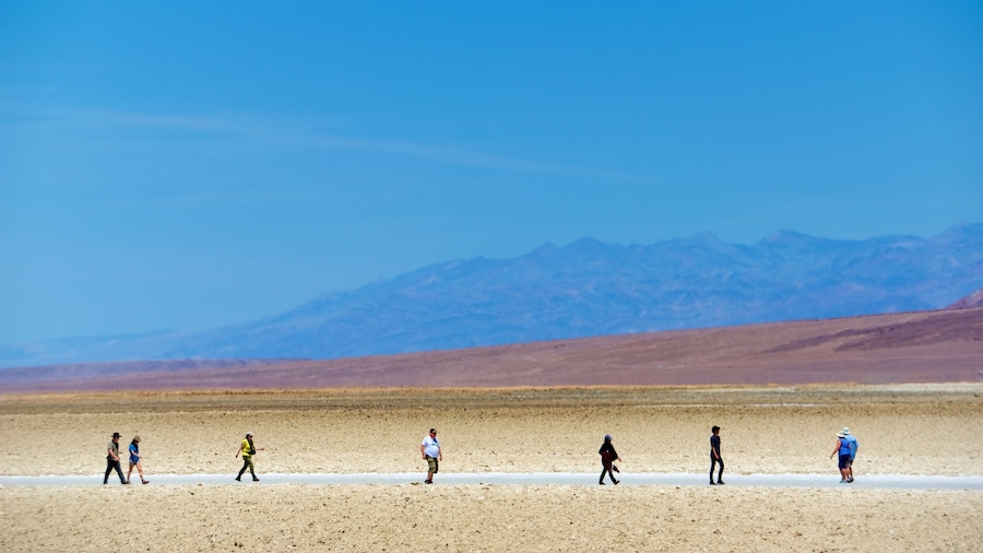 Death Valley featuring tranquil scenes and desert views as well as a small group of people