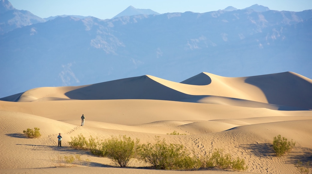 Death Valley som viser skovområder og fredfyldte omgivelser såvel som et par