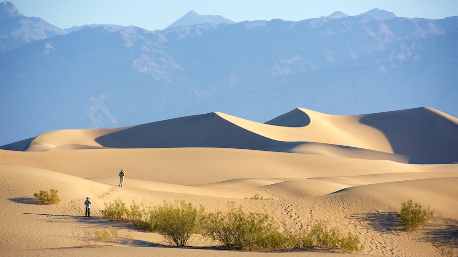 Death Valley som viser skovområder og fredfyldte omgivelser såvel som et par
