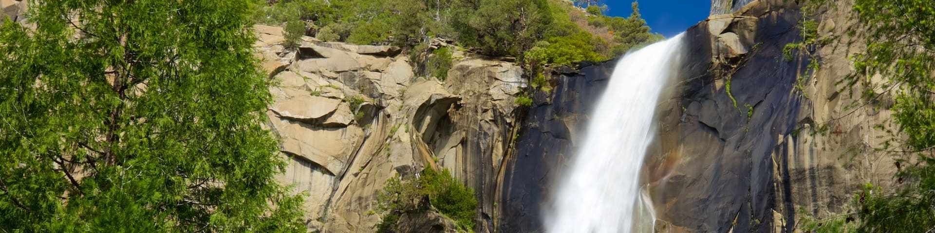 Bridalveil Falls which includes a gorge or canyon, a waterfall and forest scenes