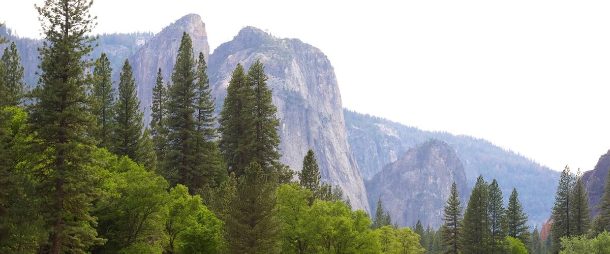 Yosemite National Park which includes tranquil scenes and forests as well as a couple