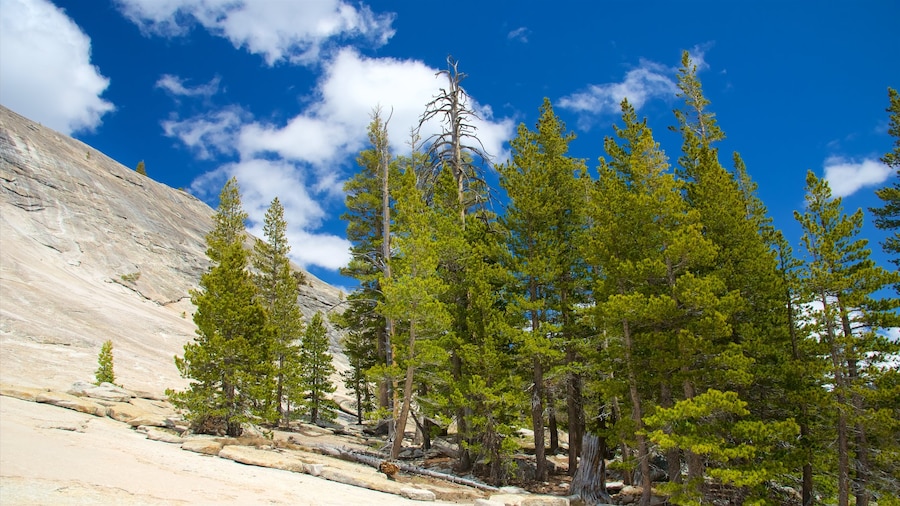 Lembert Dome