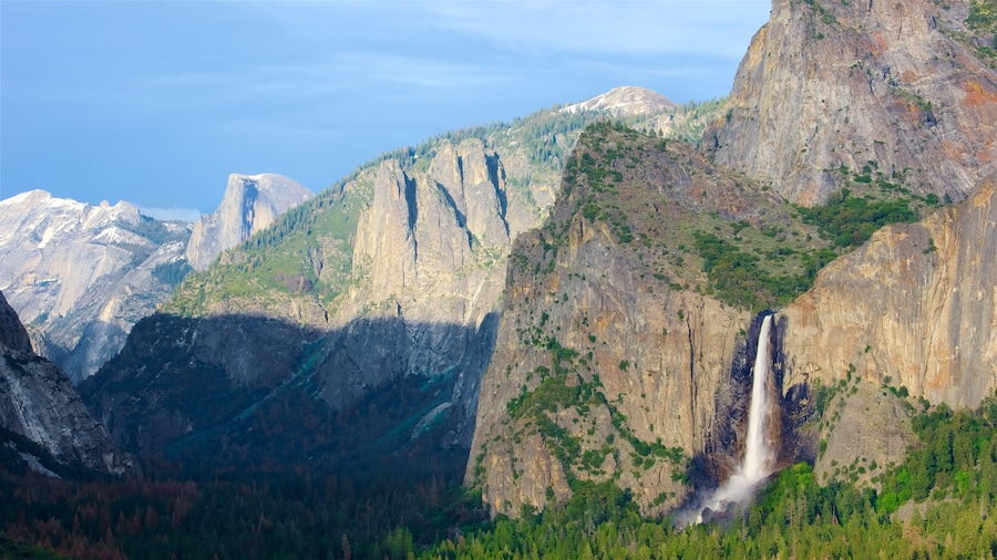 Bridalveil Falls featuring mountains, forest scenes and a waterfall