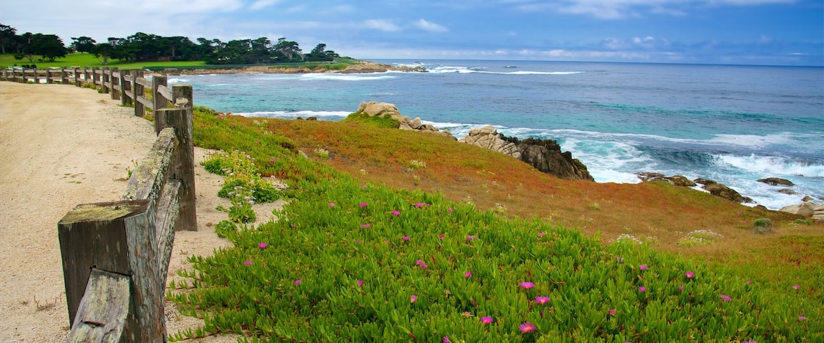 17-Mile Drive showing general coastal views and rocky coastline