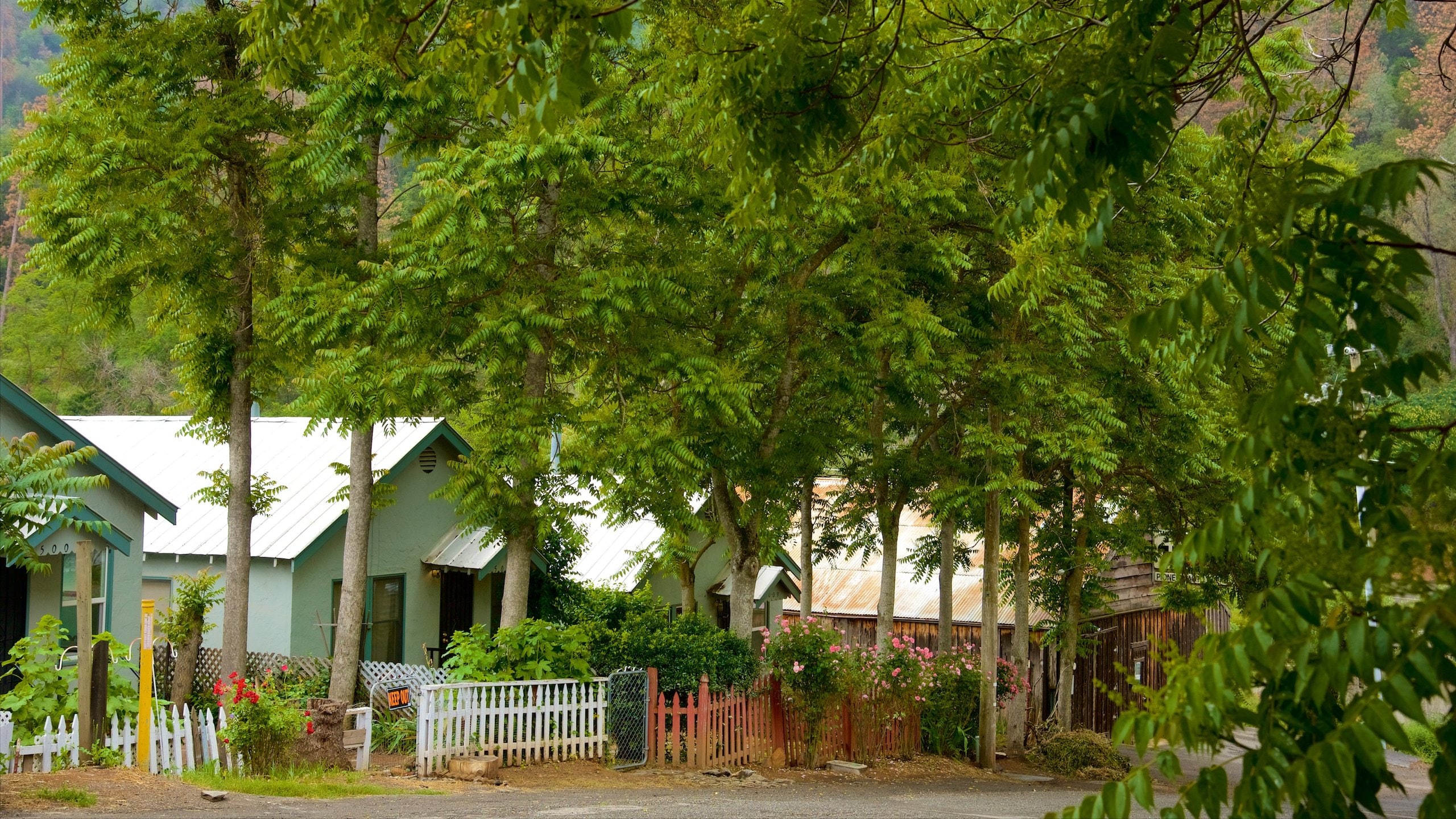 Mariposa Hotels From 68 Cheap Hotel Deals Travelocity