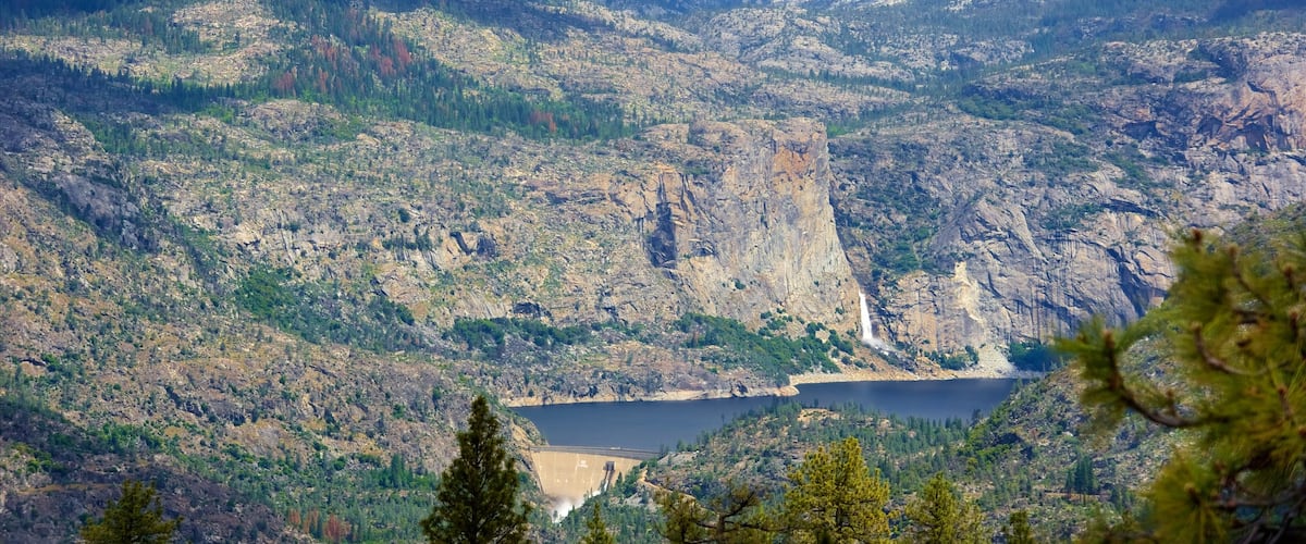 Hetch Hetchy Reservoir showing forest scenes, landscape views and tranquil scenes