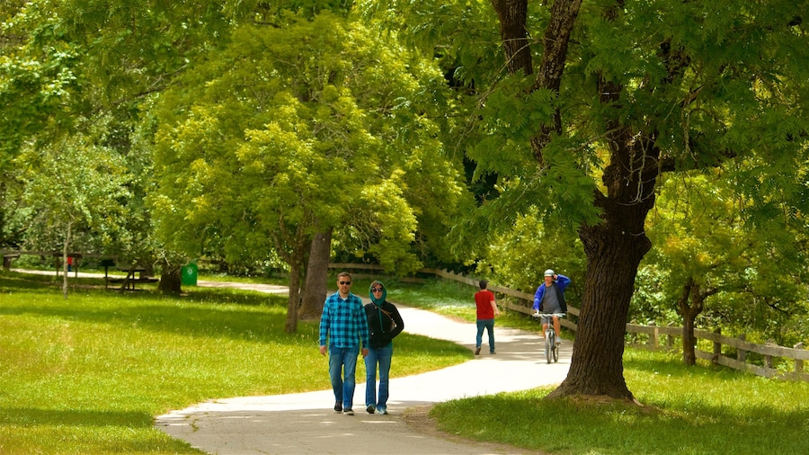 Parque regional Redwood mostrando senderismo o caminatas, un jardín y ciclismo de carretera