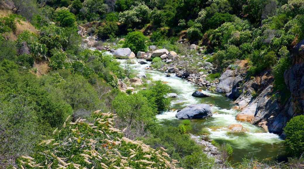 Sequoia National Park