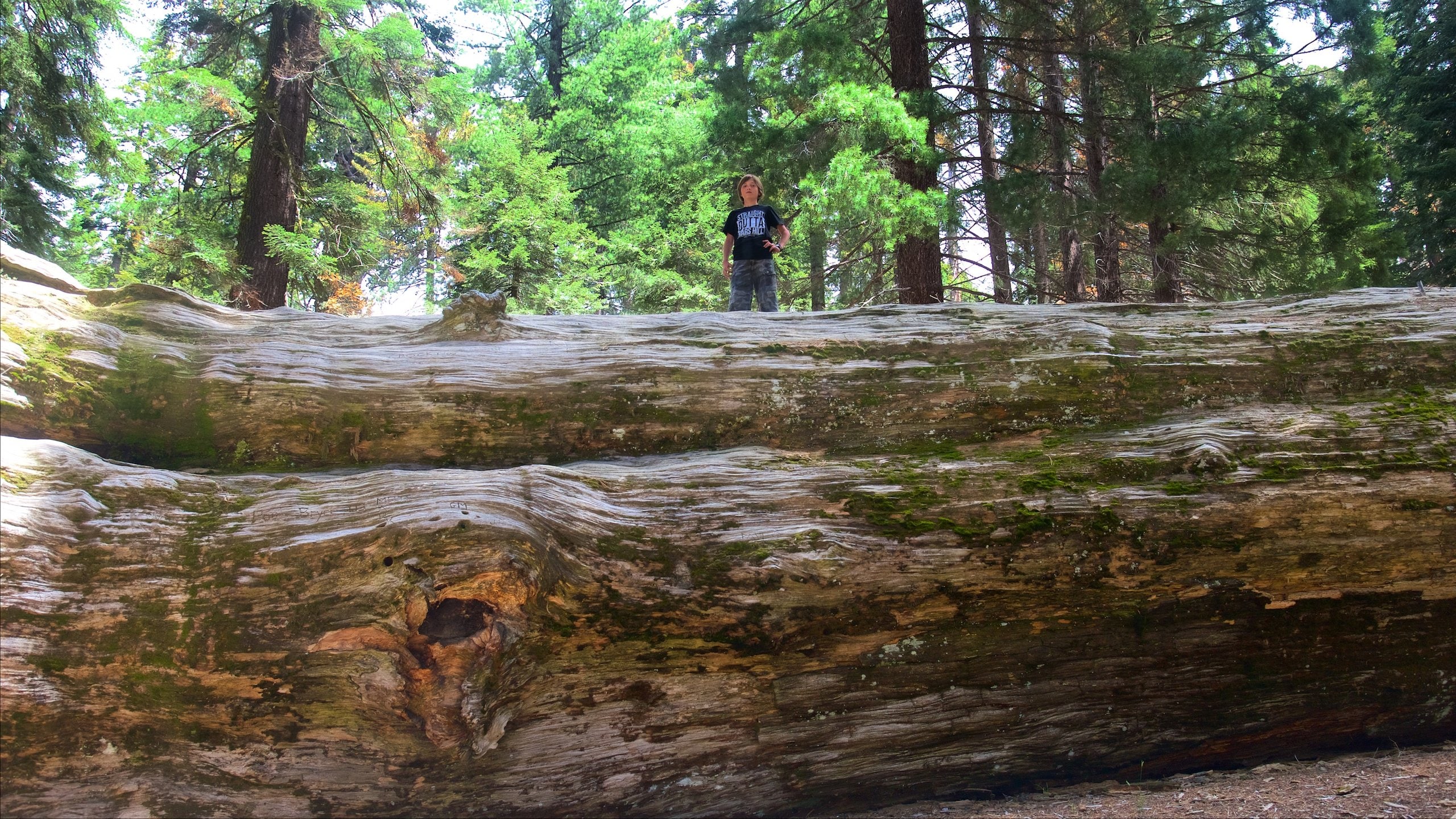 Sequoia National Park