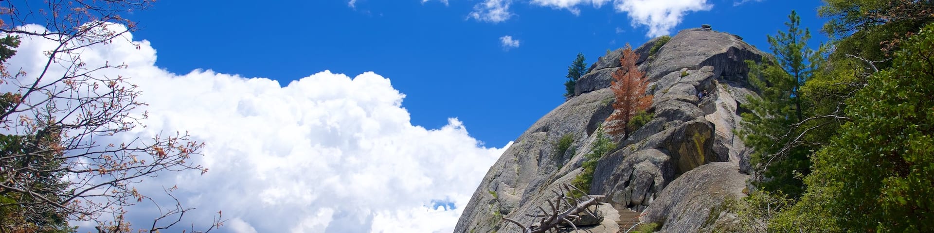 Sequoia National Park mettant en vedette scĂšnes tranquilles et montagnes