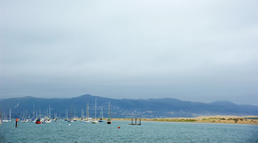 Morro Bay which includes a bay or harbour