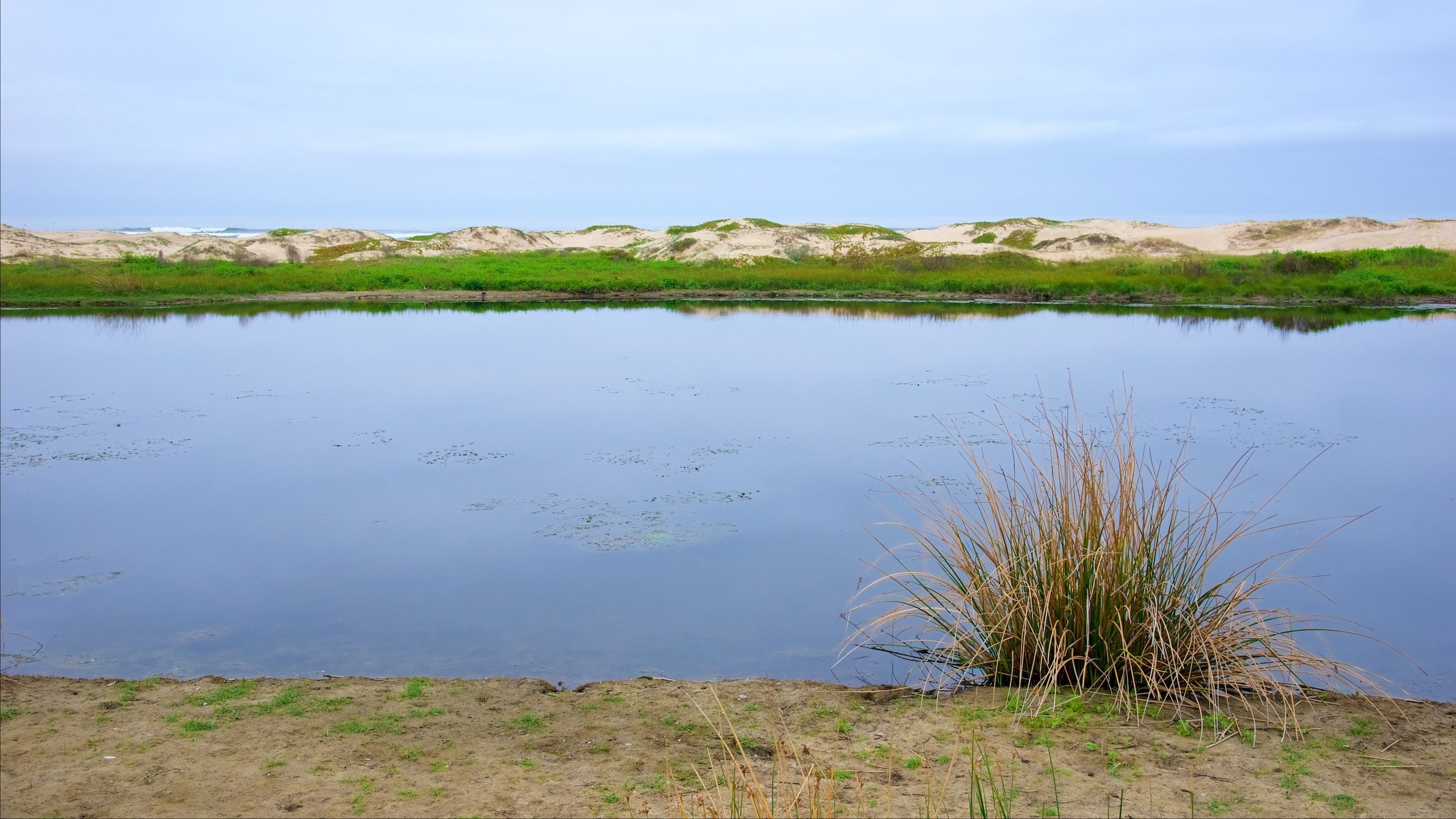 Pismo Beach featuring a lake or waterhole