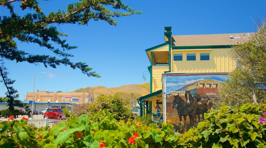 Cayucos