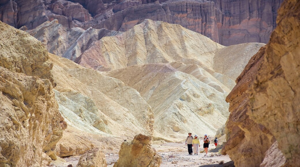 Death Valley showing desert views and a gorge or canyon as well as a small group of people