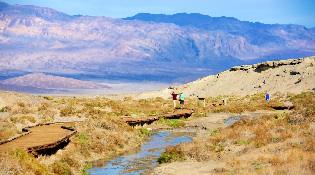 Death Valley featuring landscape views, desert views and hiking or walking