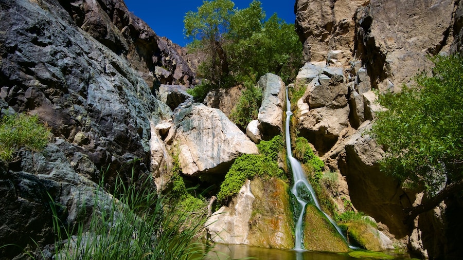Death Valley National Park which includes a cascade