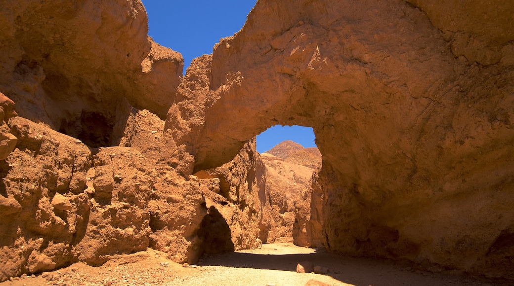 Valle de la Muerte ofreciendo escenas tranquilas y un barranco o cañón
