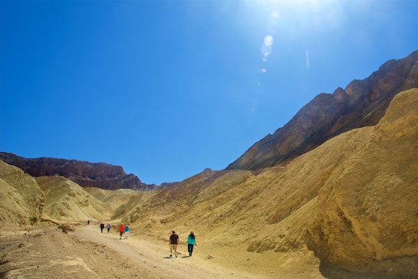 Vallée de la Mort mettant en vedette vues du désert, randonnée ou marche à pied et scÚnes tranquilles