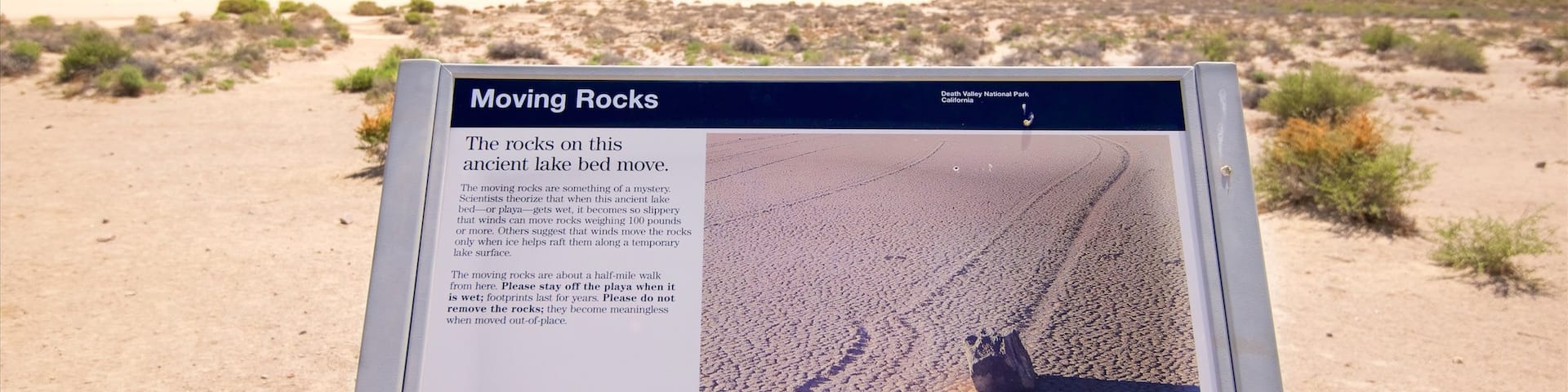 Death Valley showing desert views, signage and tranquil scenes