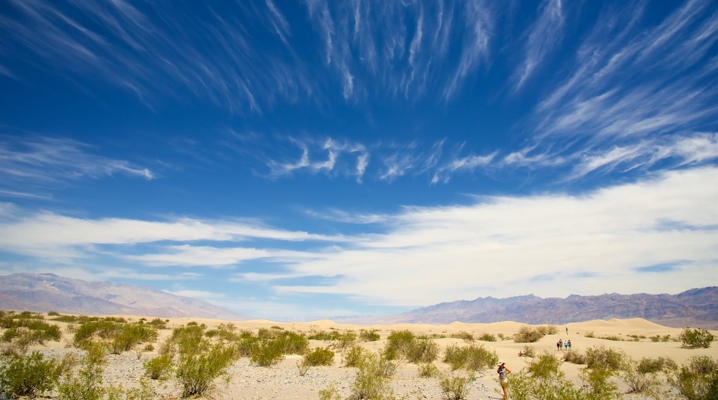 Sanddünen der Mesquite Flat