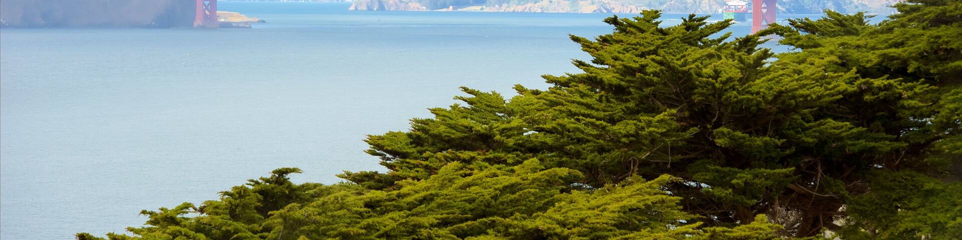 Parque Land\'s End que incluye vistas generales de la costa y un puente colgante o pasarela en las copas de los árboles