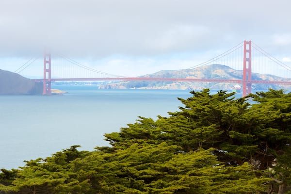 Land\'s End mettant en vedette vues littorales et passerelle ou pont suspendu