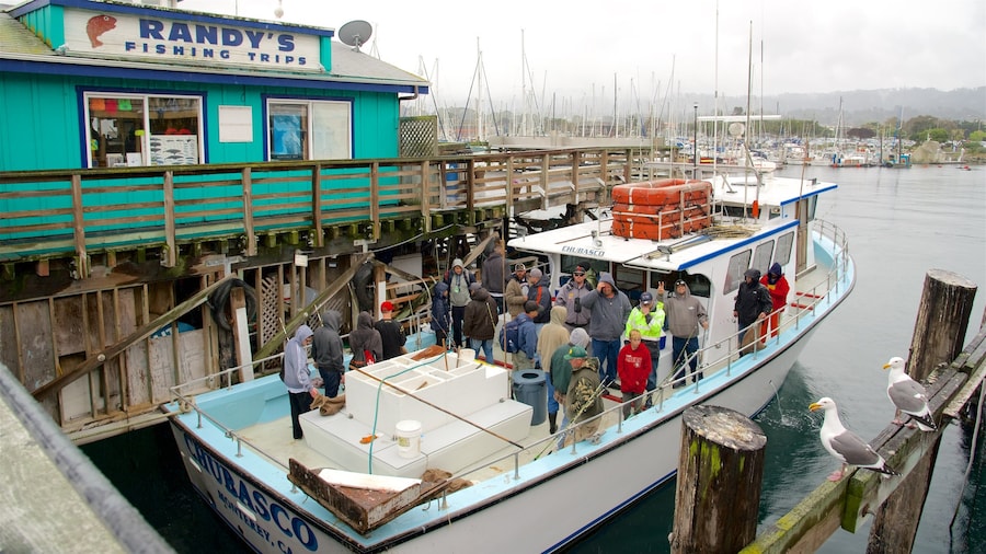 Fisherman\'s Wharf som visar båtkörning och kustutsikter såväl som en stor grupp av människor