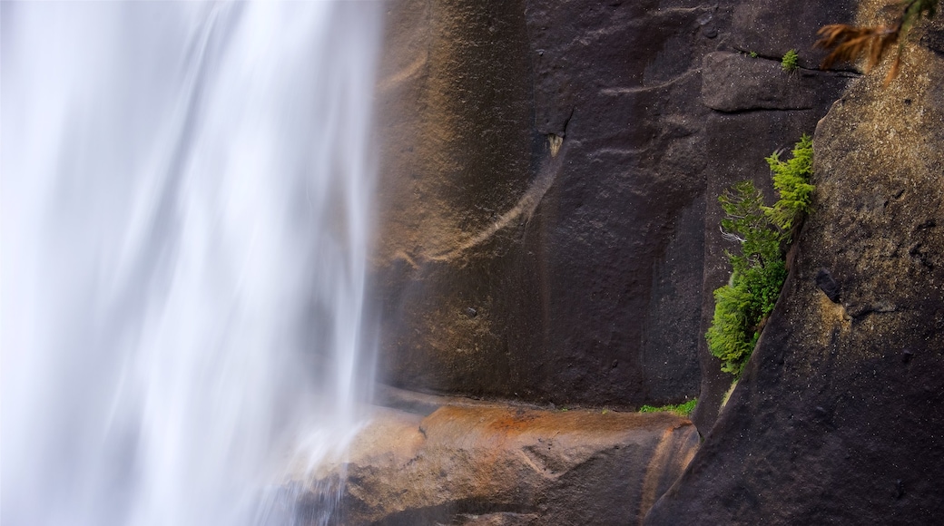 Vernal Falls showing a cascade